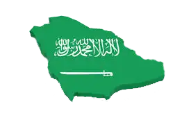 صادرات به عربستان
